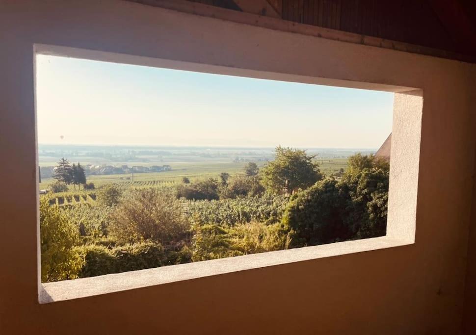Gite Origin Gueberschwihr Exteriör bild