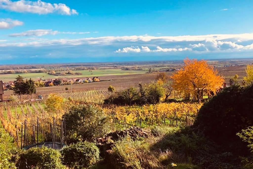 Gite Origin Gueberschwihr Exteriör bild
